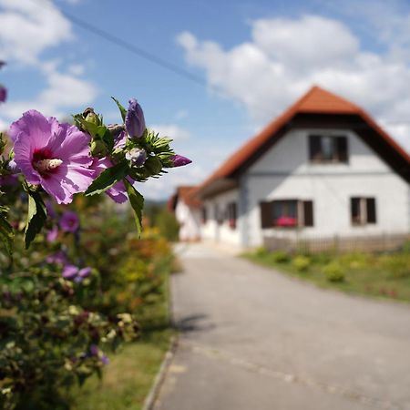House of Culture&Nature - Hiša Kulture in Nature Zagradec Exterior foto