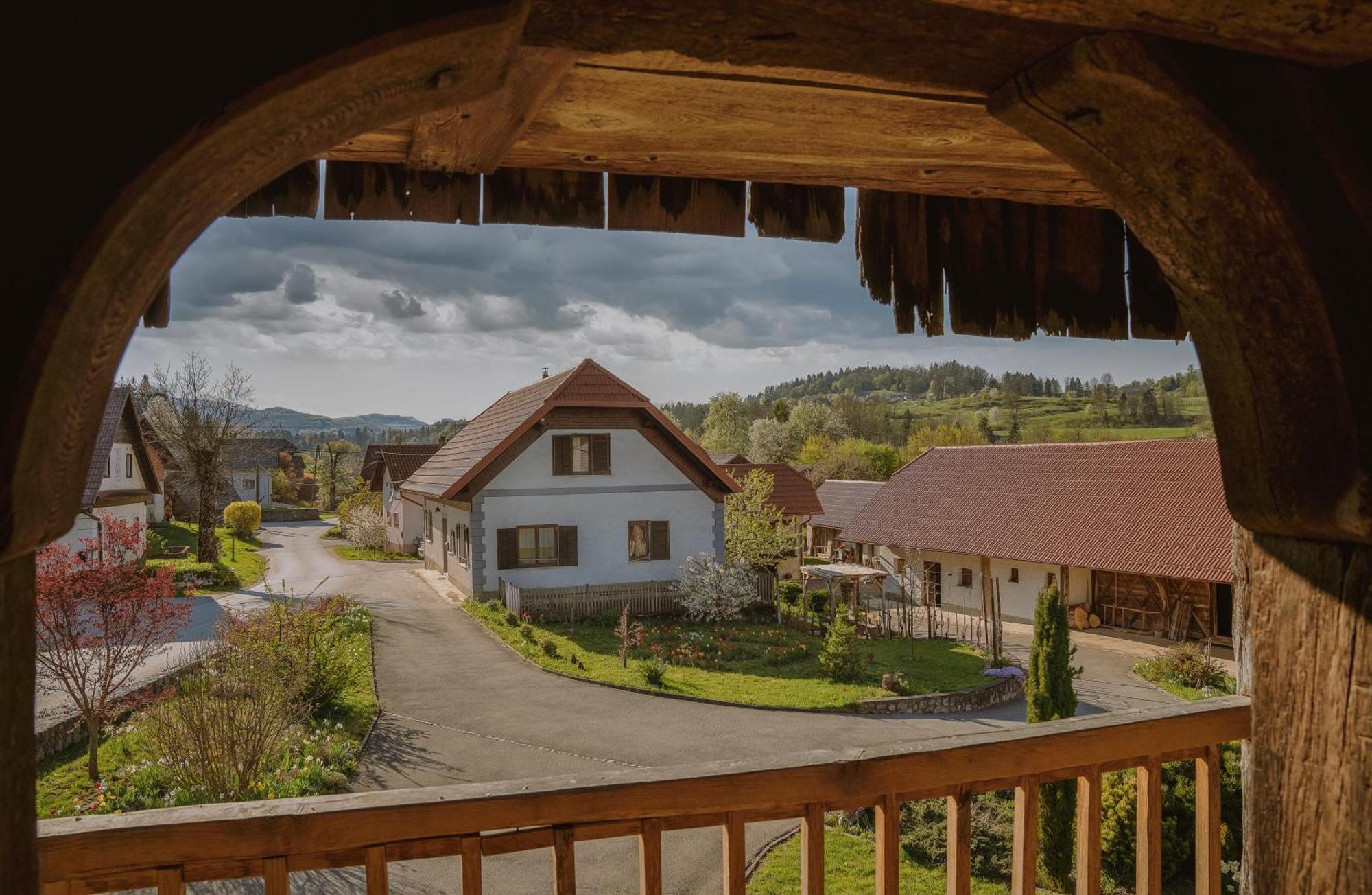House of Culture&Nature - Hiša Kulture in Nature Zagradec Exterior foto